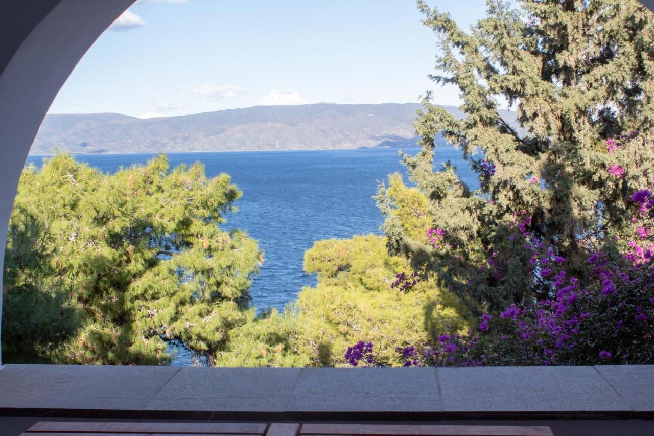 Pine Trees And Sea View Houses In Hydra - Daphne, Chloe, Myrto, Eleni Экстерьер фото