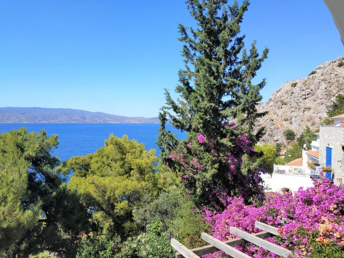 Pine Trees And Sea View Houses In Hydra - Daphne, Chloe, Myrto, Eleni Экстерьер фото