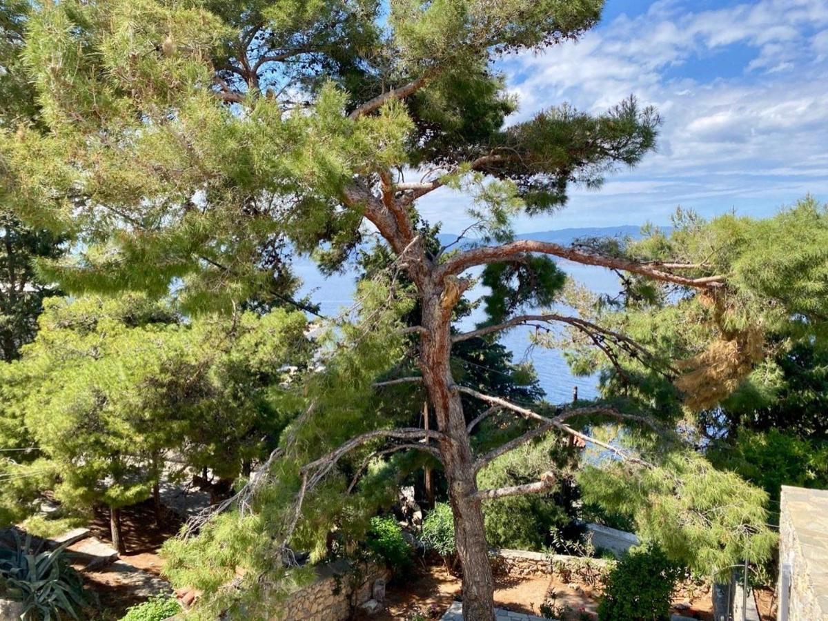 Pine Trees And Sea View Houses In Hydra - Daphne, Chloe, Myrto, Eleni Экстерьер фото