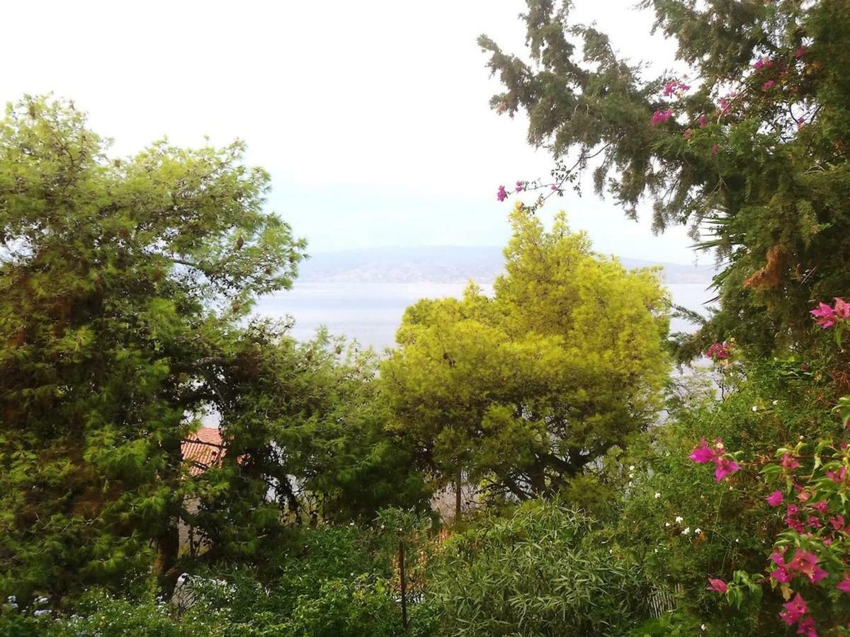 Pine Trees And Sea View Houses In Hydra - Daphne, Chloe, Myrto, Eleni Экстерьер фото