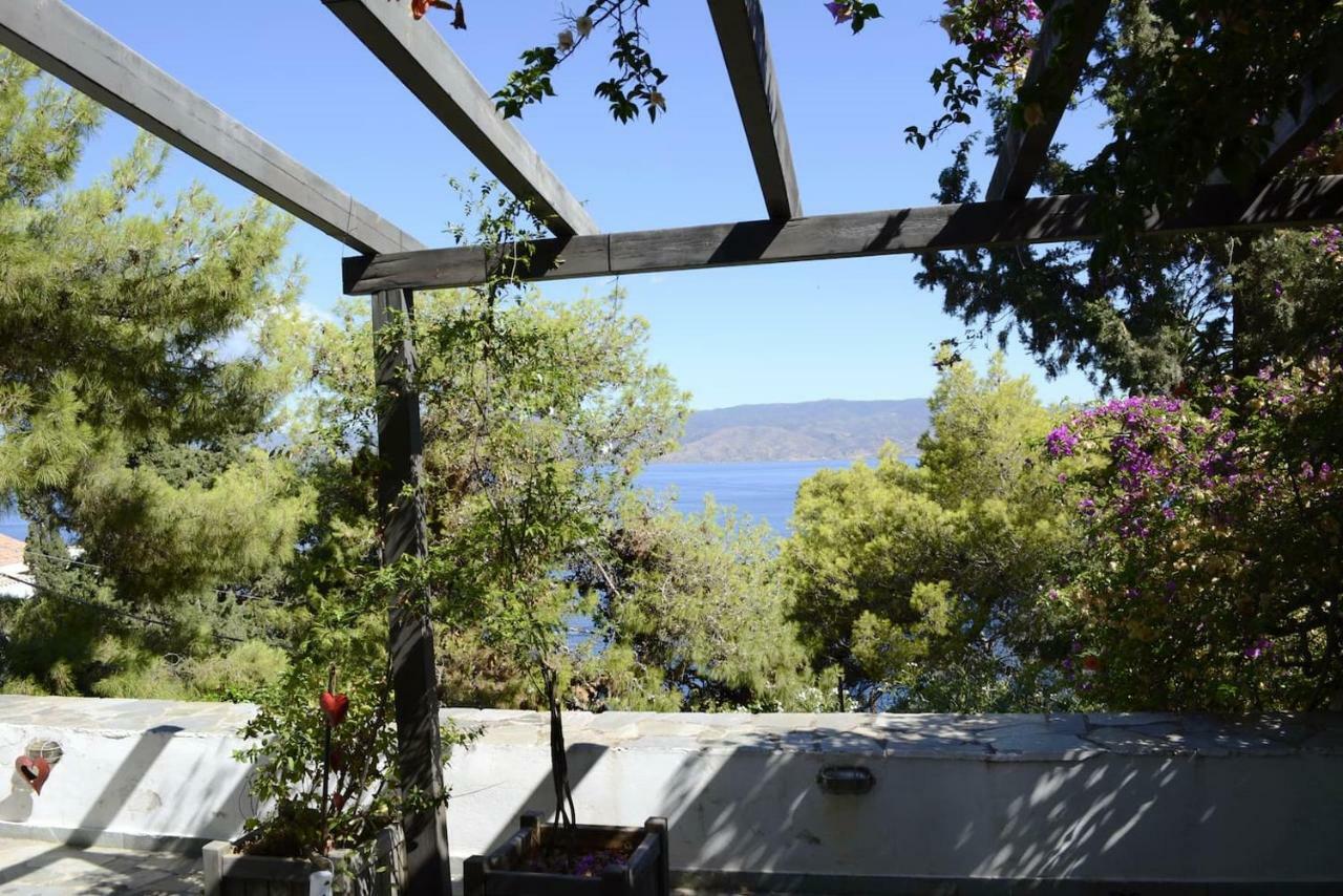 Pine Trees And Sea View Houses In Hydra - Daphne, Chloe, Myrto, Eleni Экстерьер фото